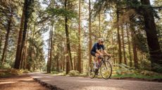 Image shows cyclist in forest