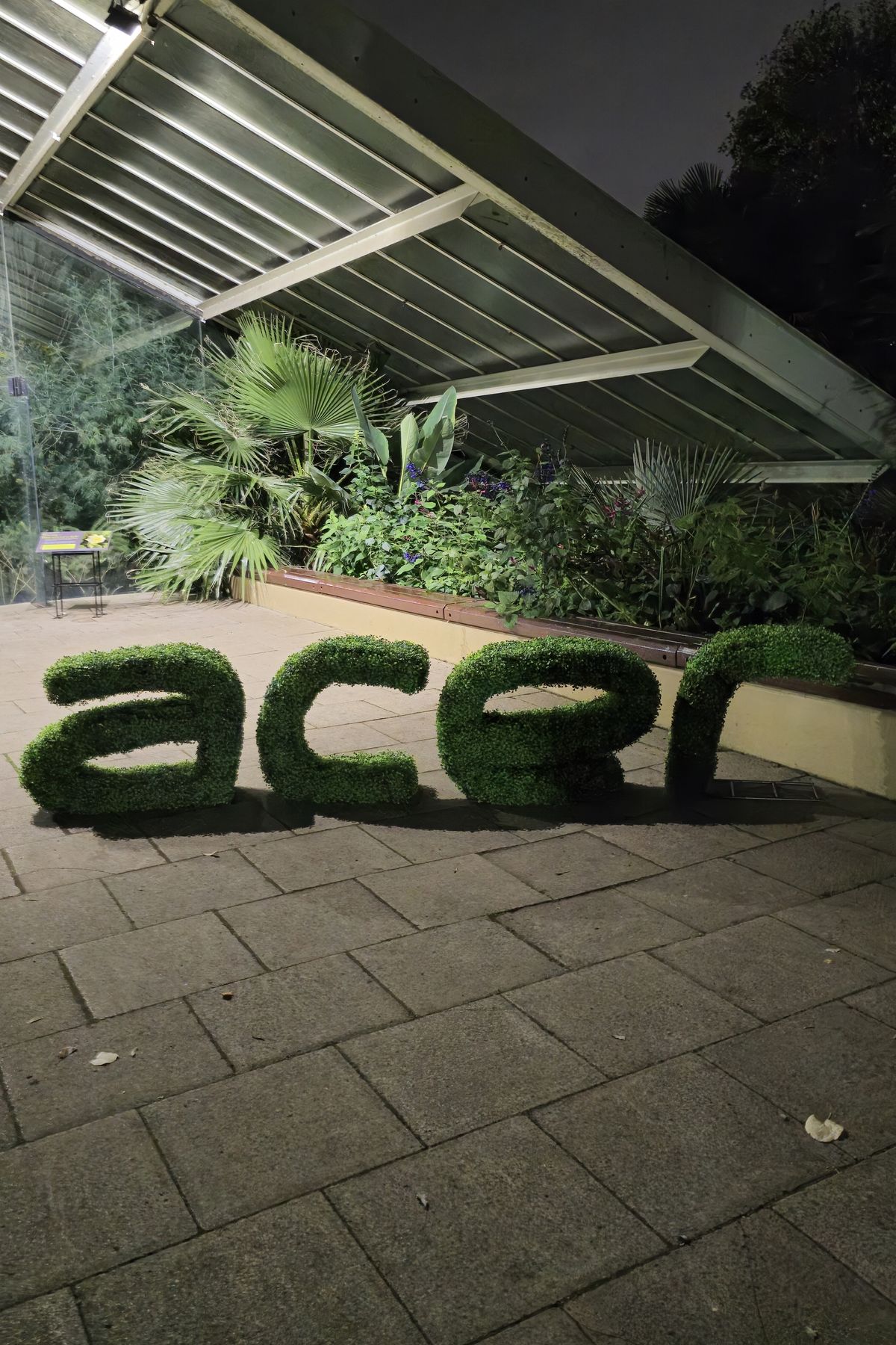 Acer Kew Gardens event
