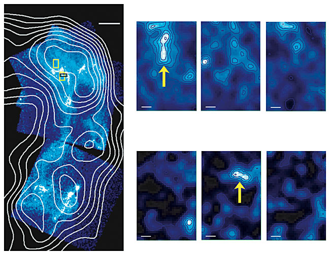 Origin of Cosmic Rays Confirmed