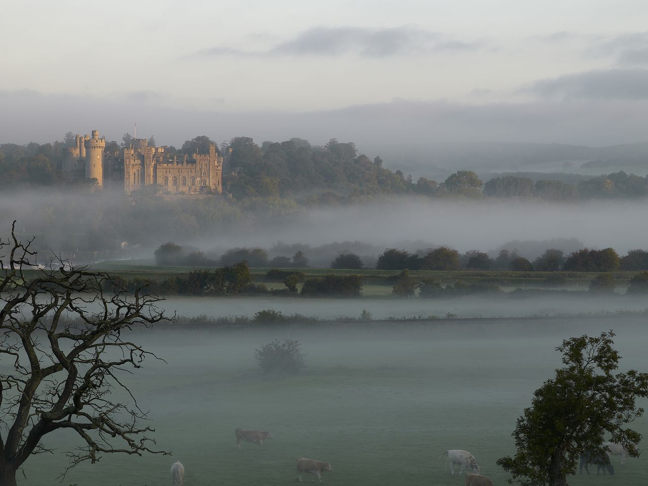 Arundel, shrouded in mistm seen from the plains below. ©Paul Barker/Country Life