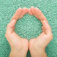 hands holding turquoise granular plant feed