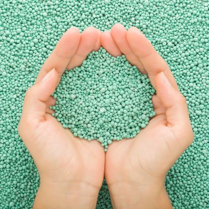 hands holding turquoise granular plant feed