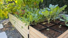 Garden In Minutes watering grid