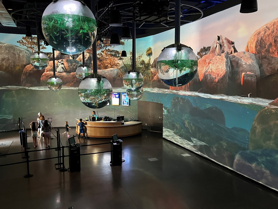 the OdySea Aquarium lobby with projection mapping immersing its guests.