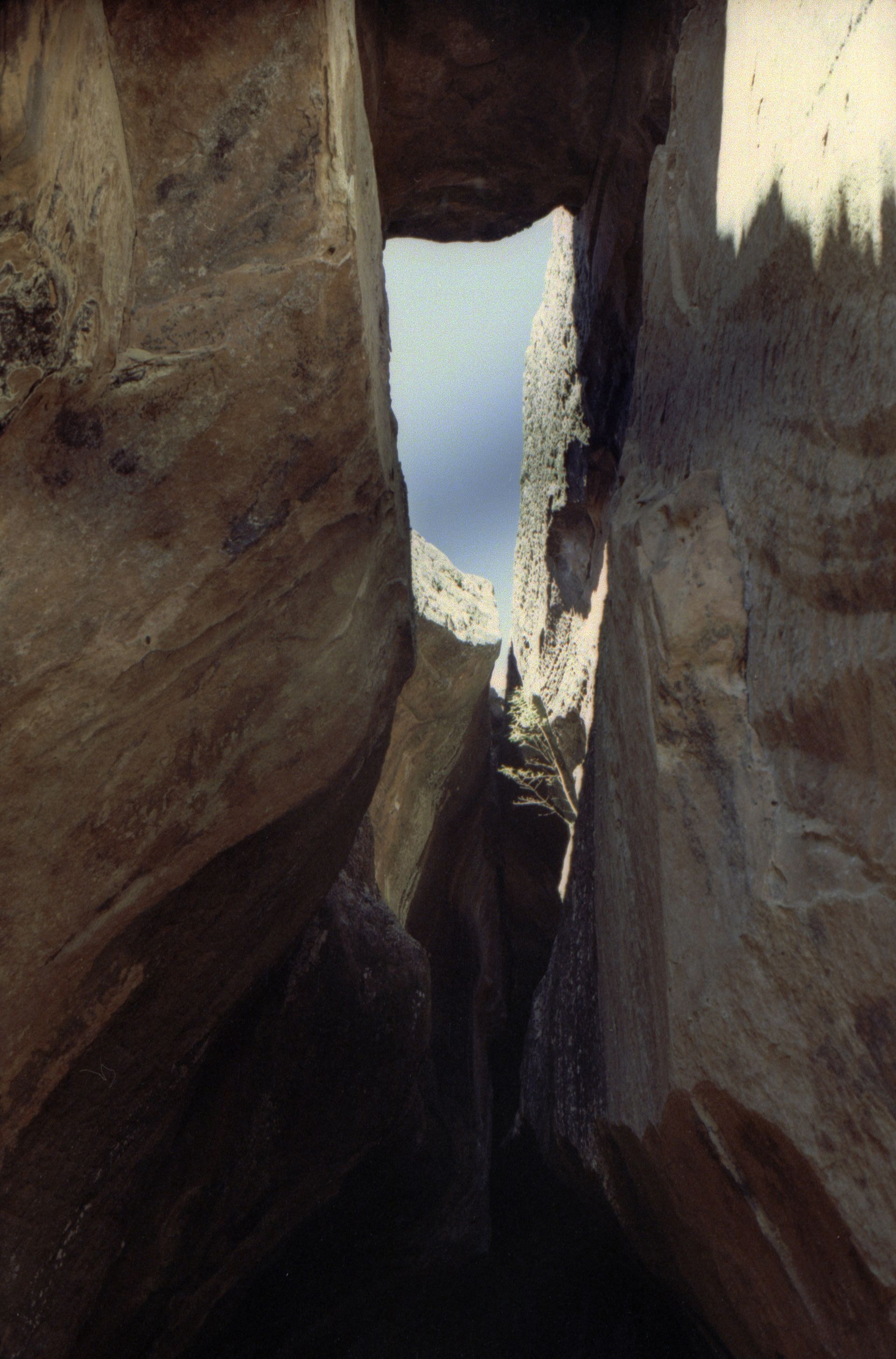 madre book marisol mendez setanta books