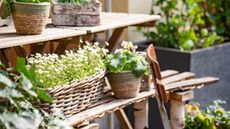 Rattan and wicker planters on a wood shelf in a garden