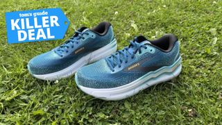 the Brooks Ghost Max 2