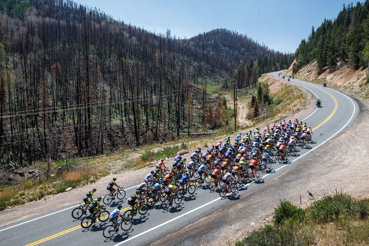The peloton climbs during stage 1 at the Tour of Utah