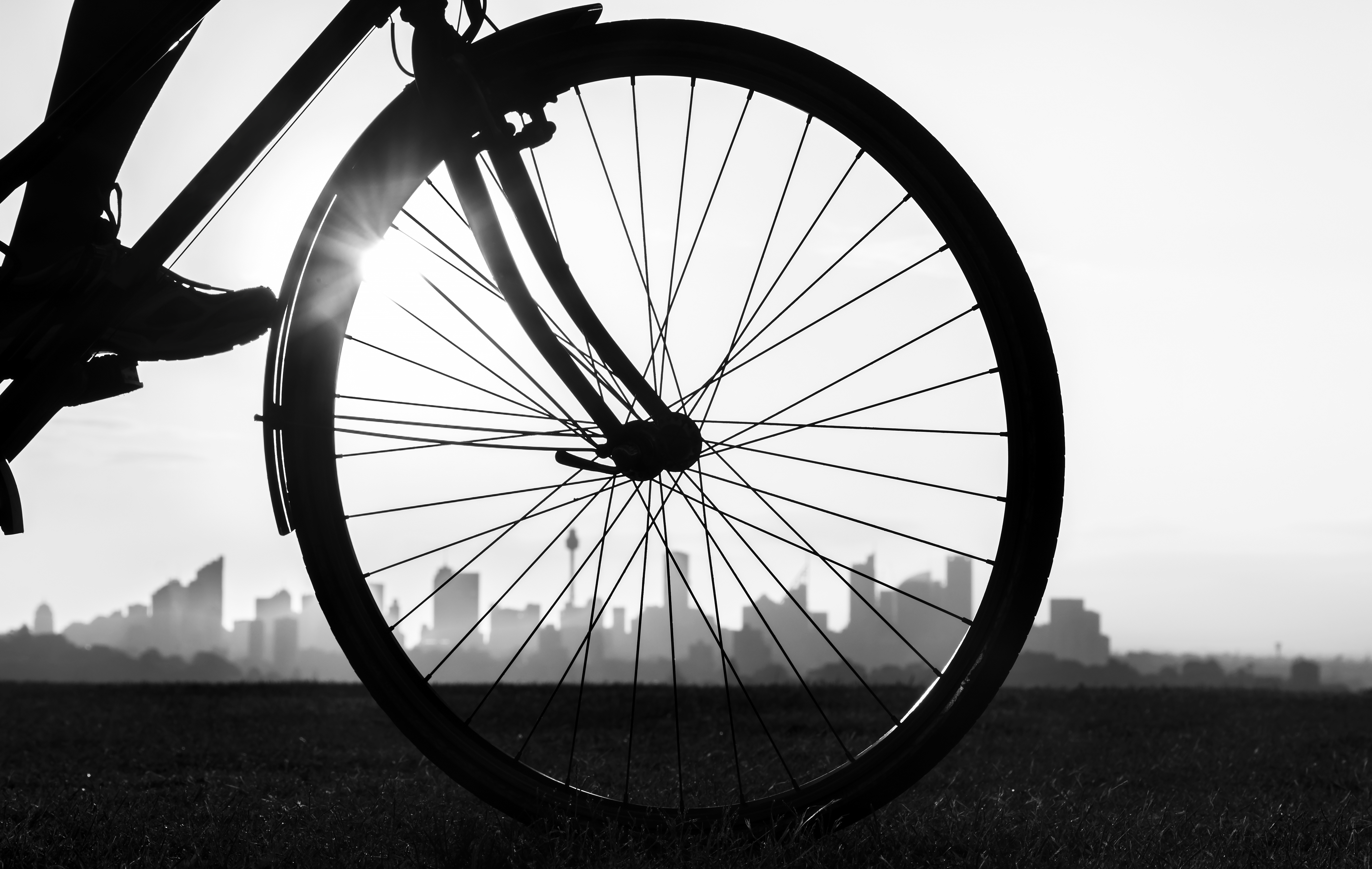 Bike wheel with Sydney skyline in background