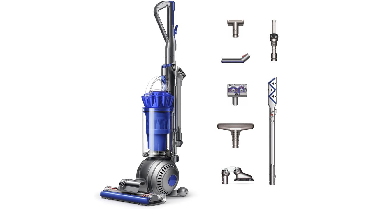 Dyson Ball Animal 2