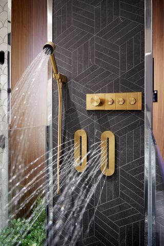 Close up of a shower cubicle, gold shower head and zero shaped jets with water projected and pipe, gold dials, slate black design back, dark wood surround, potted plant