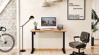 Flexispot EC1 Standard Standing Desk in office