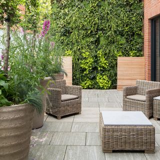 garden area with rattan arm chair and plant and shrubs