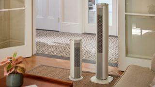 Two Meaco tower cans in living room, near door