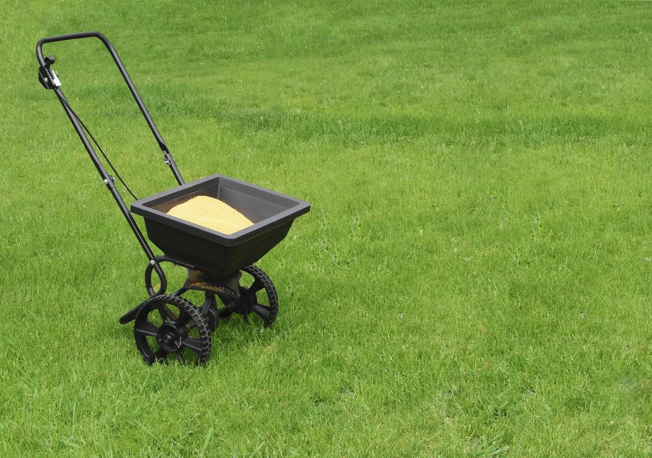 Turf Builder Full Of Lawn Fertilizer On A Green Lawn