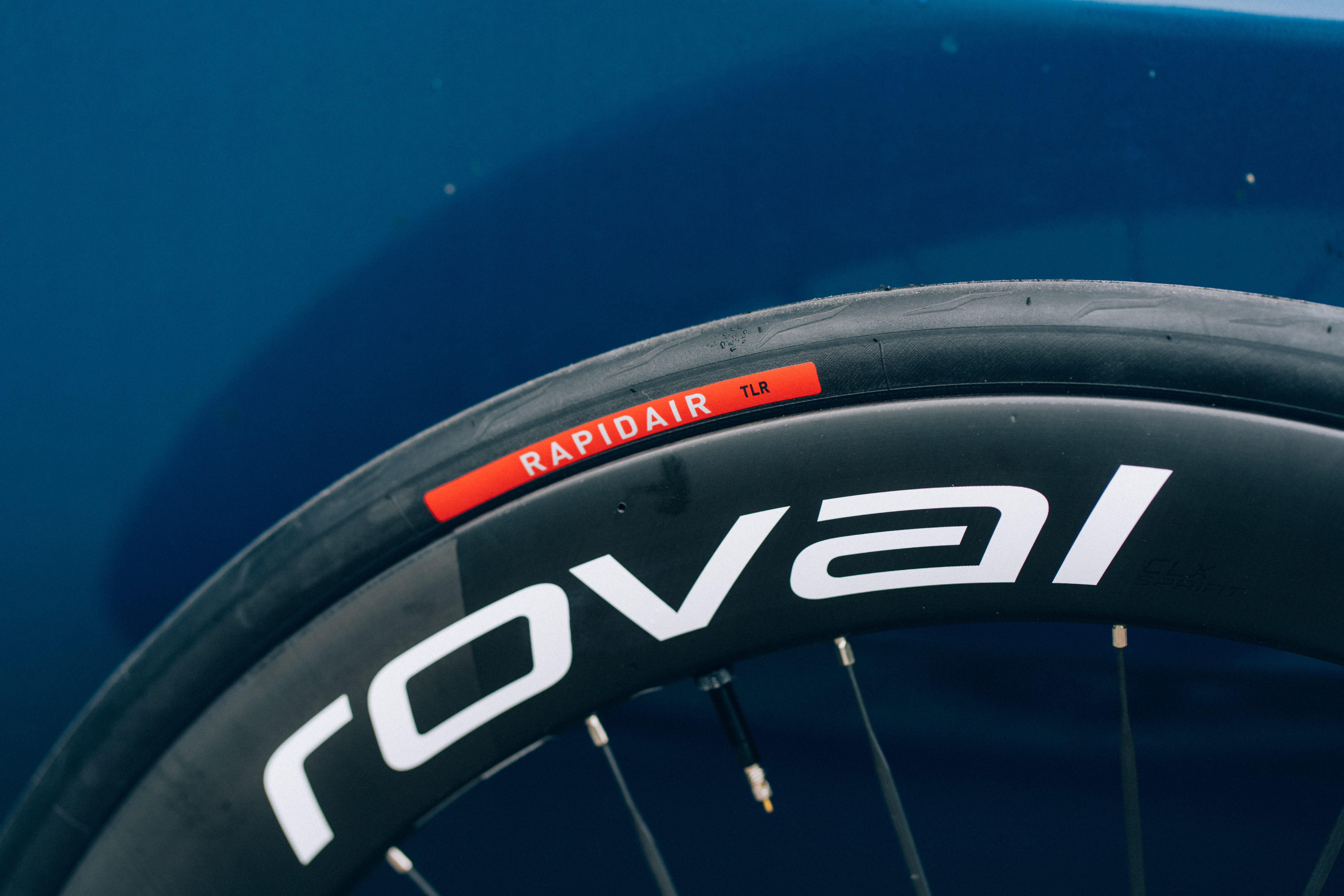 Tim Merlier's Bike