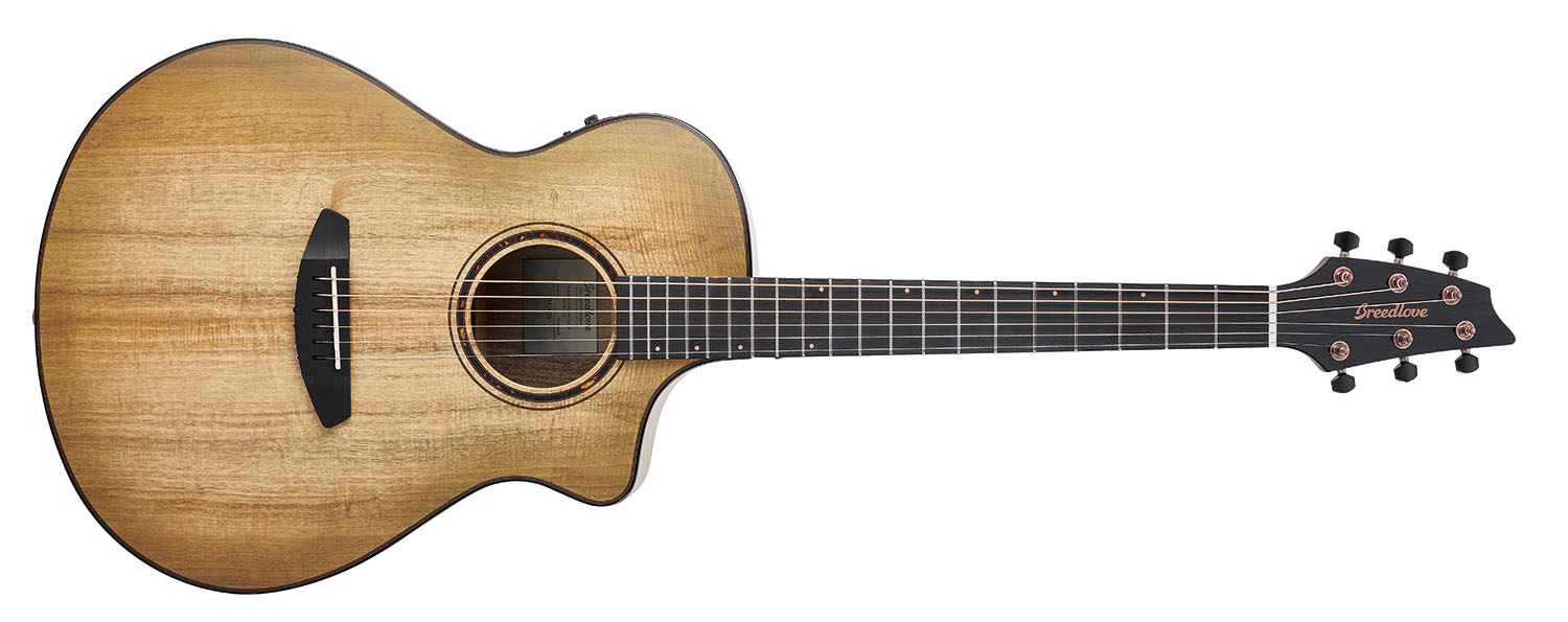 Breedlove Eco Pursuit EX S Concert Sweetgrass