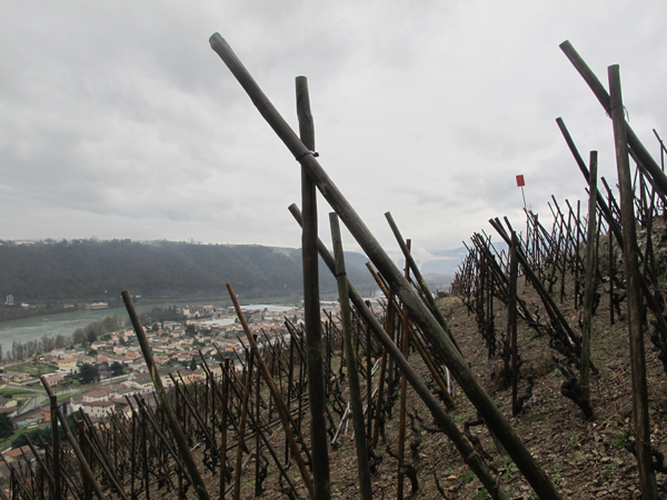 Rostaing La Landonne