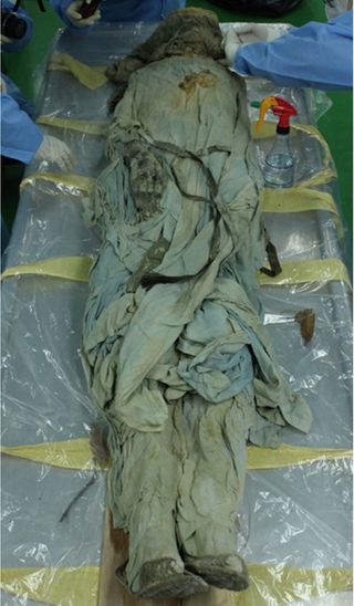 The 17th-century Korean mummy before textile specialists removed his shrouds (clothing).