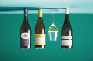 bottles of North Italian Pinot Grigio