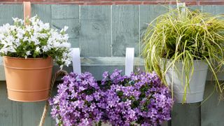 hanging planters on pale blue fence