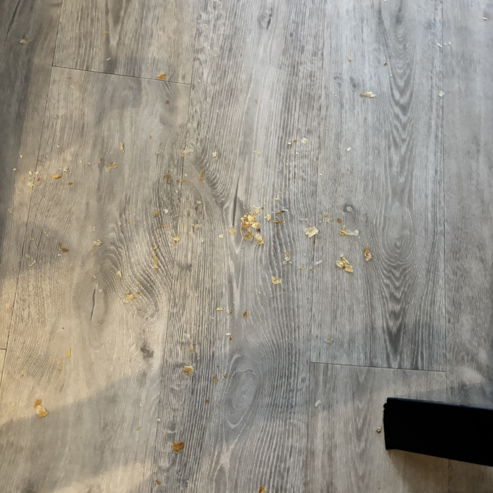 Beldray All-In-One-Multi Surface Floor Cleaner review