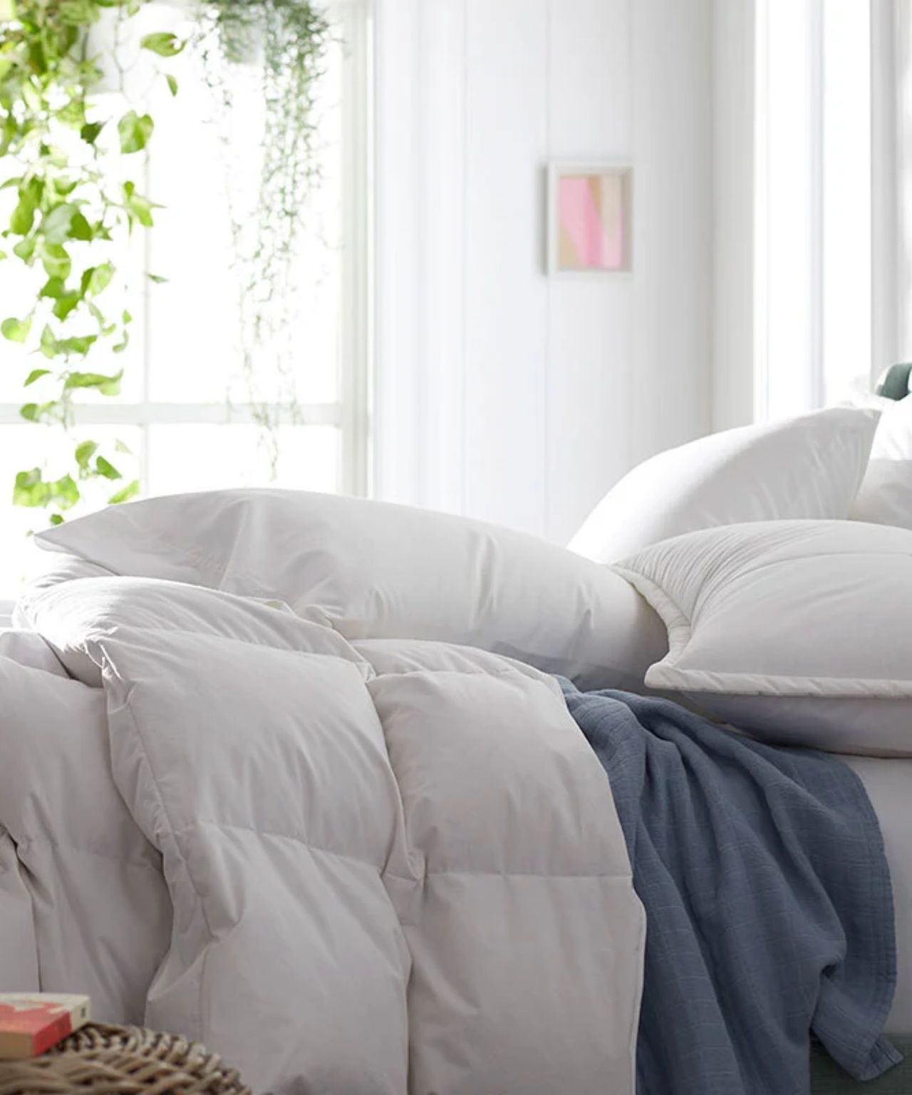 A white LaCrosse Premium Down Light Warmth Comforter shown side-on on a bed with white pillows and a blue blanket. In the background is a white wall, large, bright window, and hanging plants in the top left-hand corner.