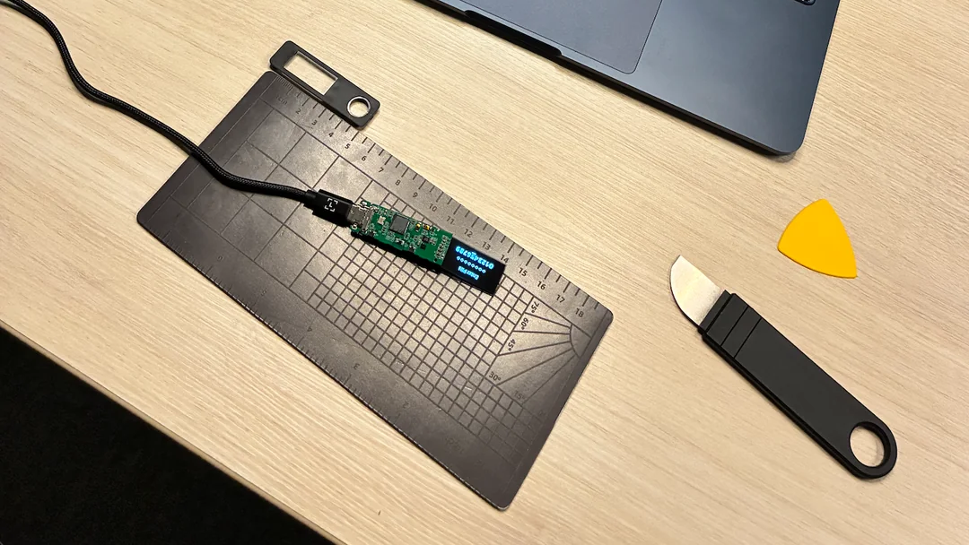 Fake Ledger Nano S+ hardware wallet