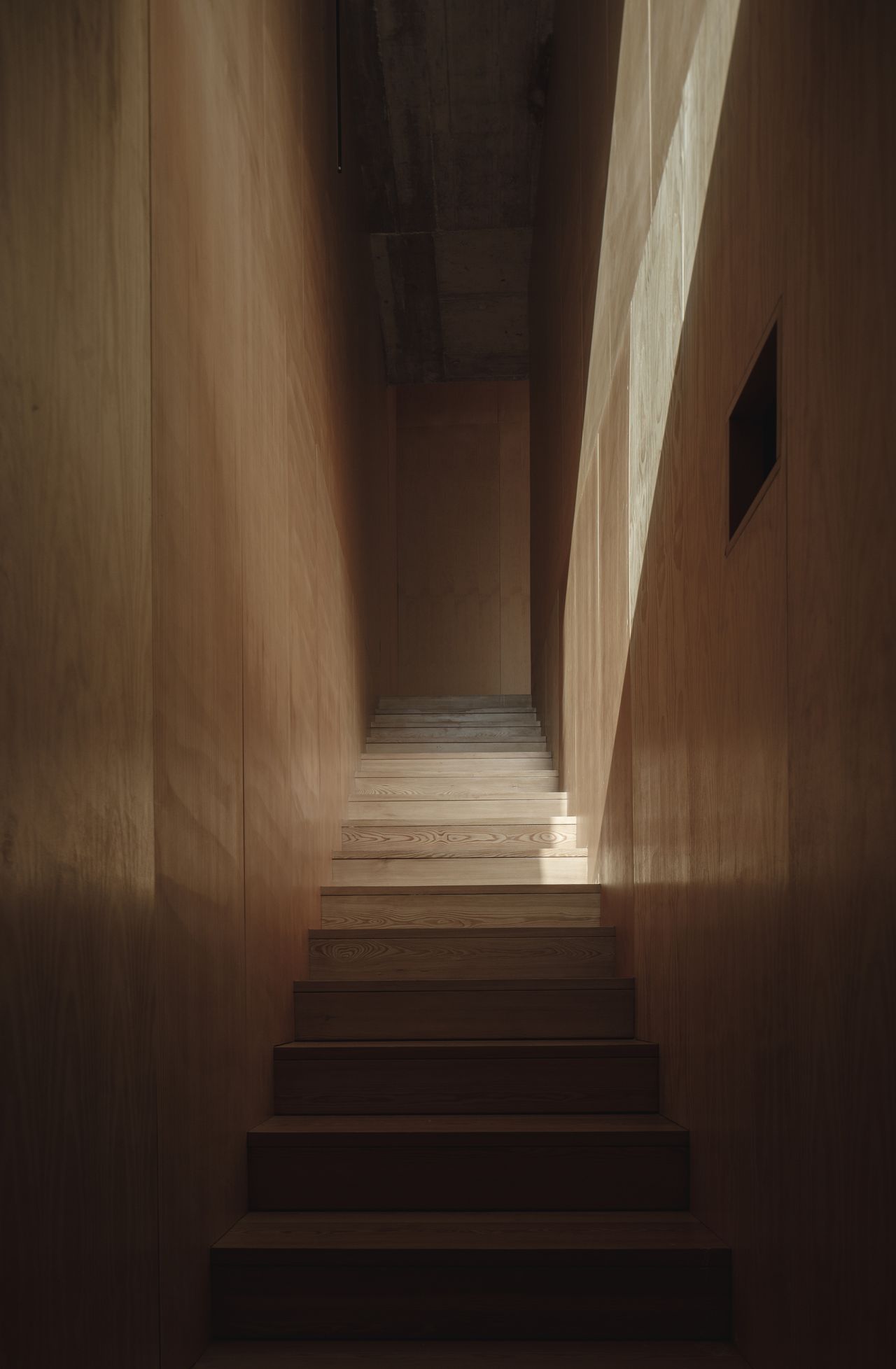 The timber clad internal staircase