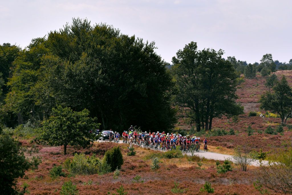 The peloton on stage 3 of the Boels Ladies Tour