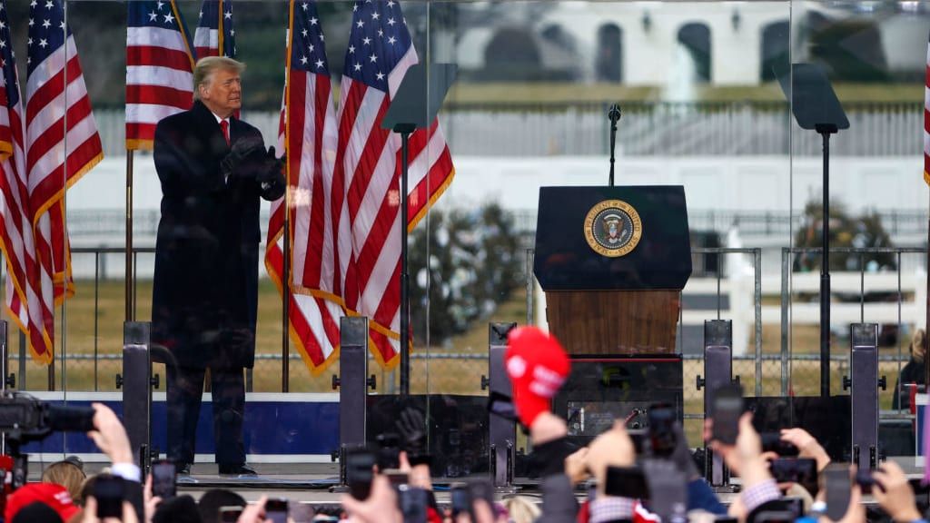 Donald Trump at the &amp;quot;Stop the Steal&amp;quot; rally.