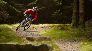 A rider on 7stanes trails
