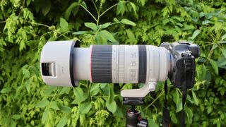 Canon RF 100-500mm f/4.5-7.1L IS USM telephoto zoom lens