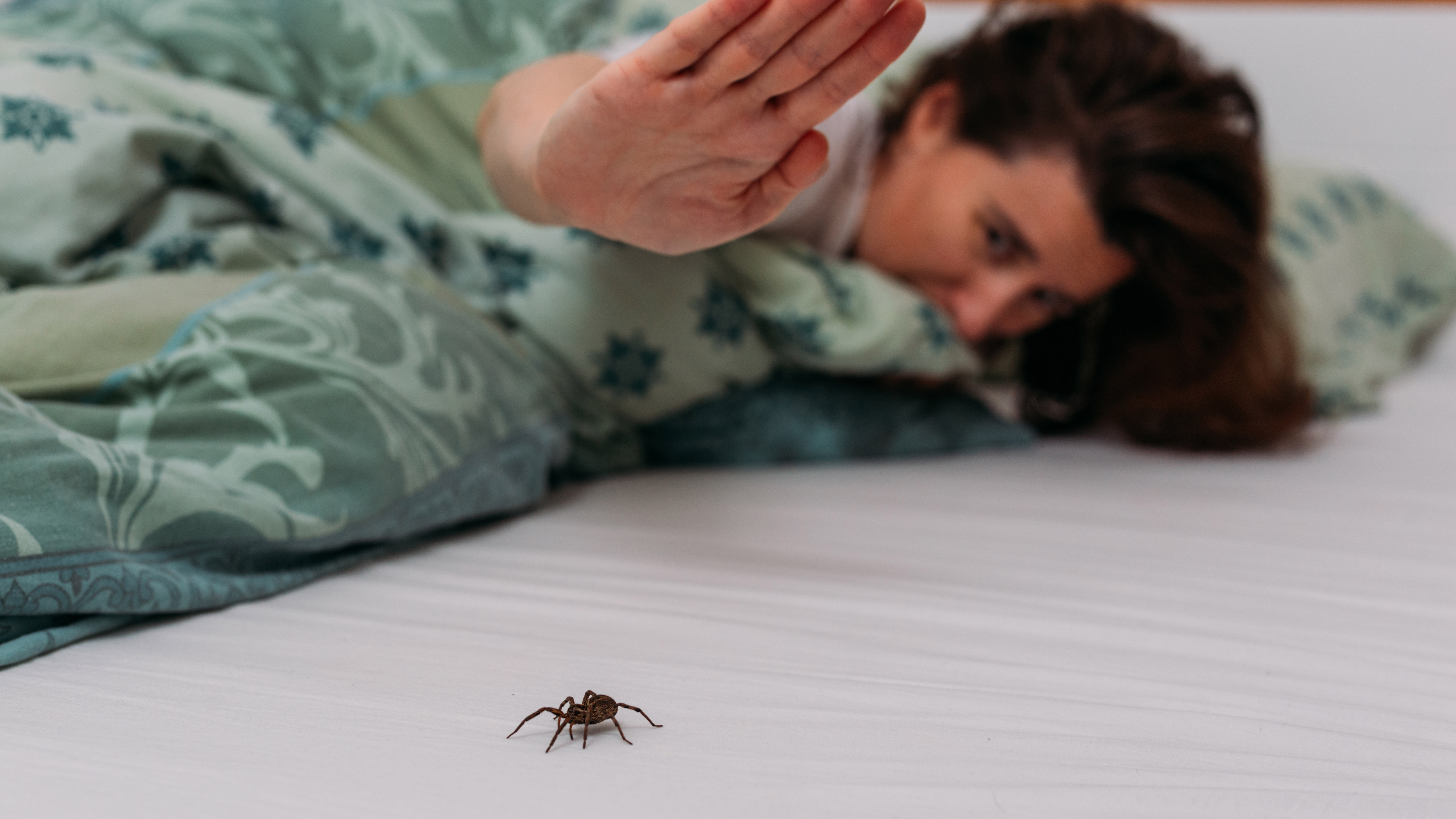 Woman swatting a spider on floor