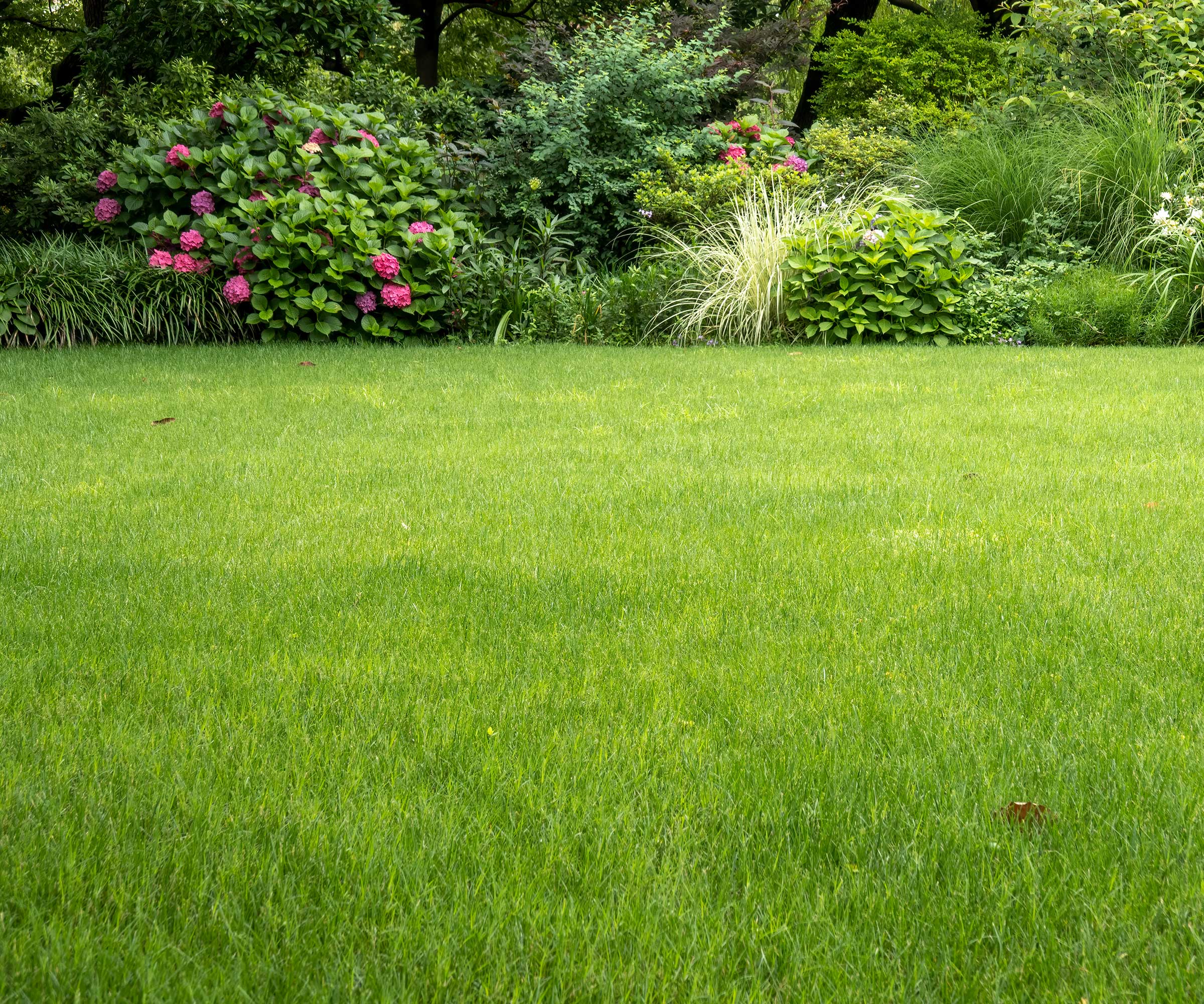 green lawn and flower borders