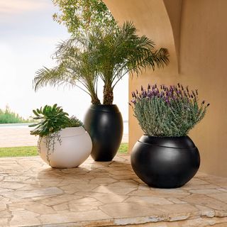 Three large decorate planters in a Mediterranean yard