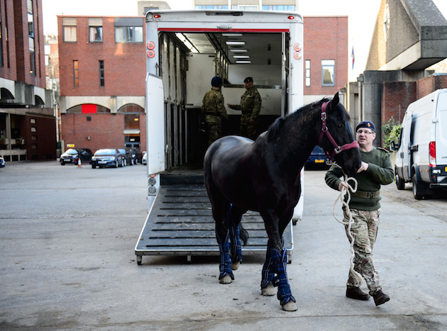 APOLOND-2018-004-Horses-Return-From-Melton-Mowbray-0793.jpg