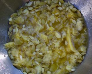 zucchini seeds fermenting in a metal bowl