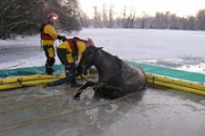 christmas_day_rescue.jpg