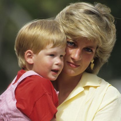 prince harry inheritance princess diana