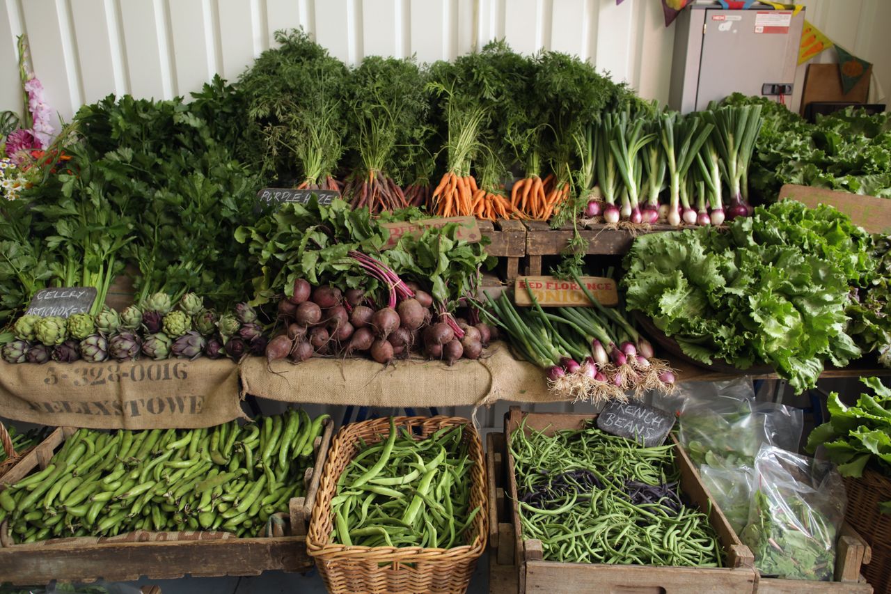 Fern Verrow used to sell via market stalls — now, they deliver veg boxes and work direct with chef Skye Gyngell.