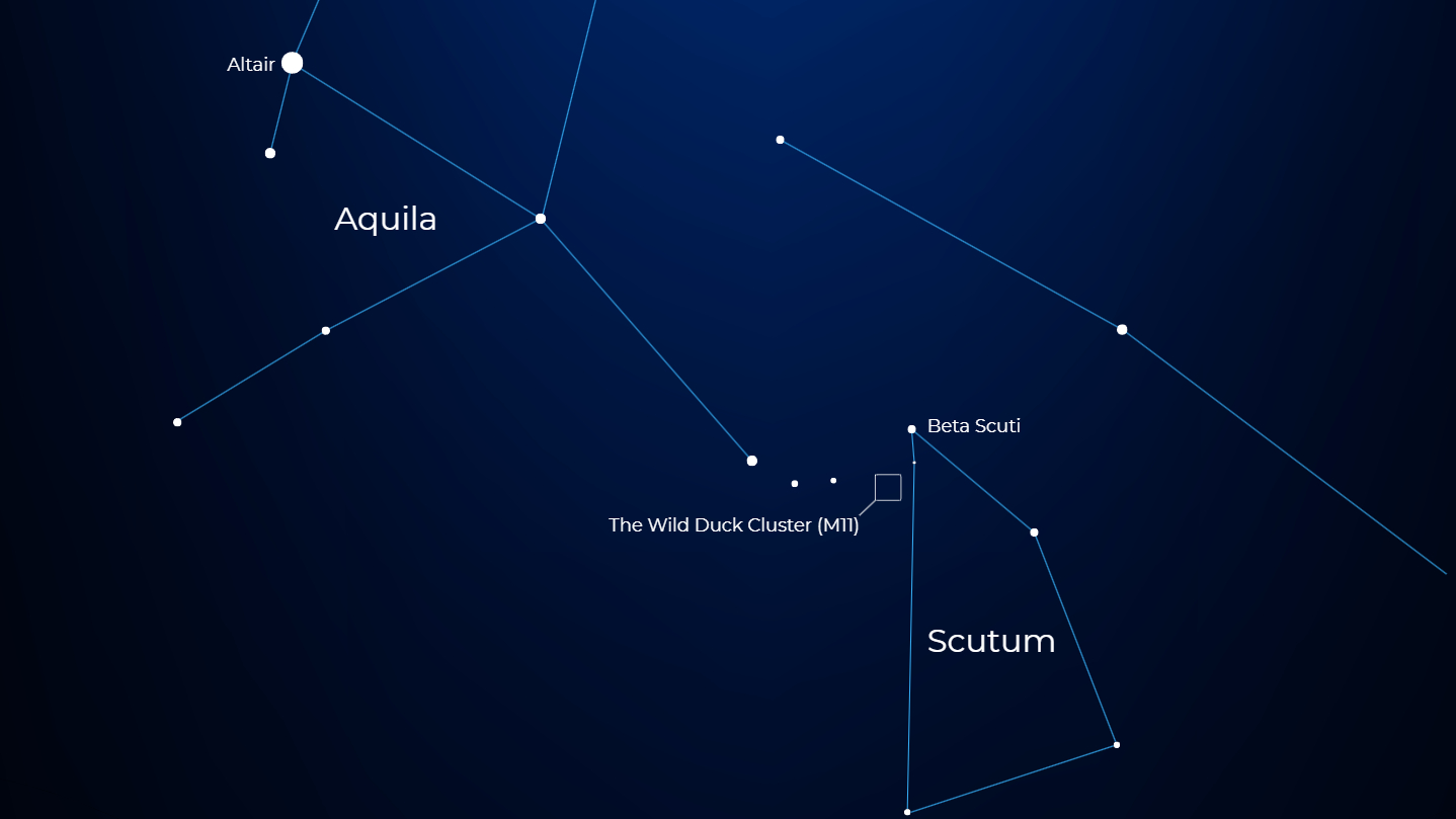 A star chart showing the locations of stars from the constellations Aquila in the top left and Scutum in the bottom right. The location of the Wild Duck Cluster is labelled close to the star Beta Scuti, near the middle of the image.