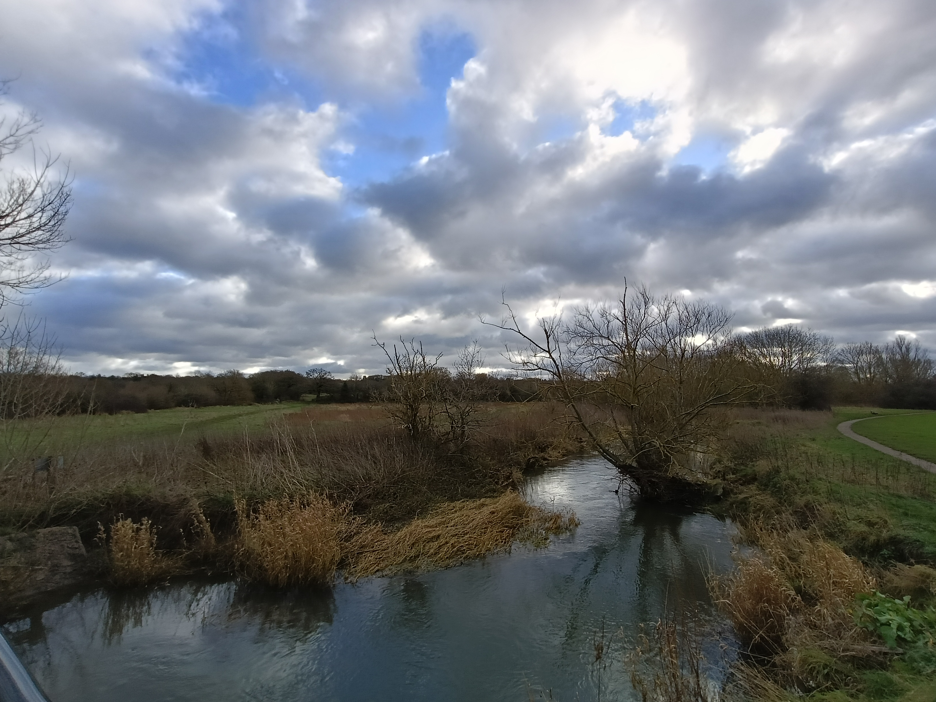 A wide shot of a river running through a park