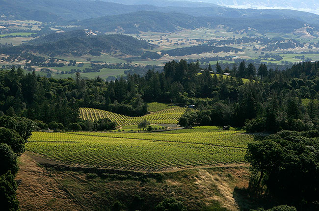 Turley Wine Rattlesnake Ridge