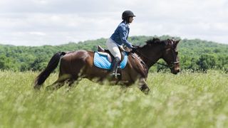 Lady riding horse in a grassy field