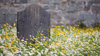 A lone stone grave surrounded by wild summer flowers meadow with a stone wall in the background.