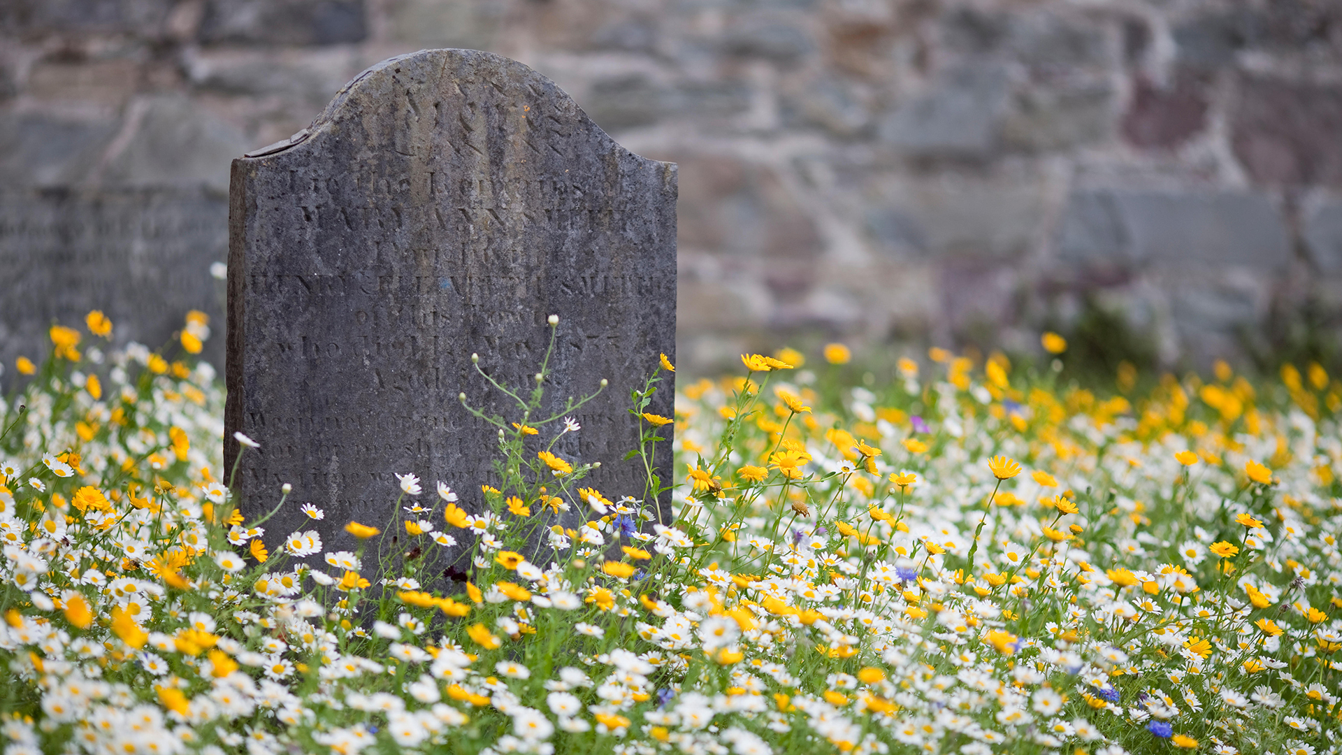 After you die, your microbiome cooperates with soil microbes to 'recycle' your body