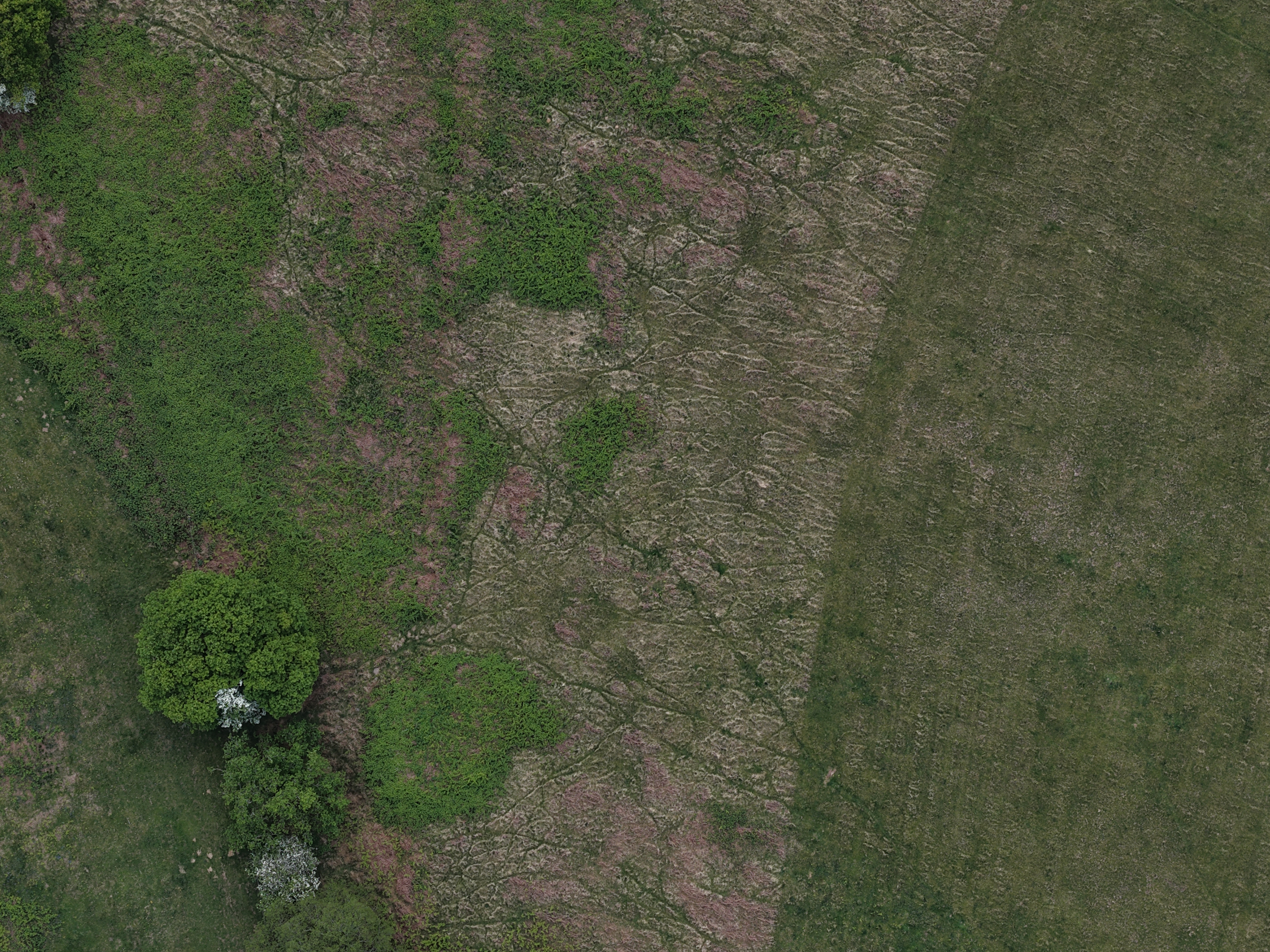 DJI MAVIC 4 PRO SAMPLE IMAGES