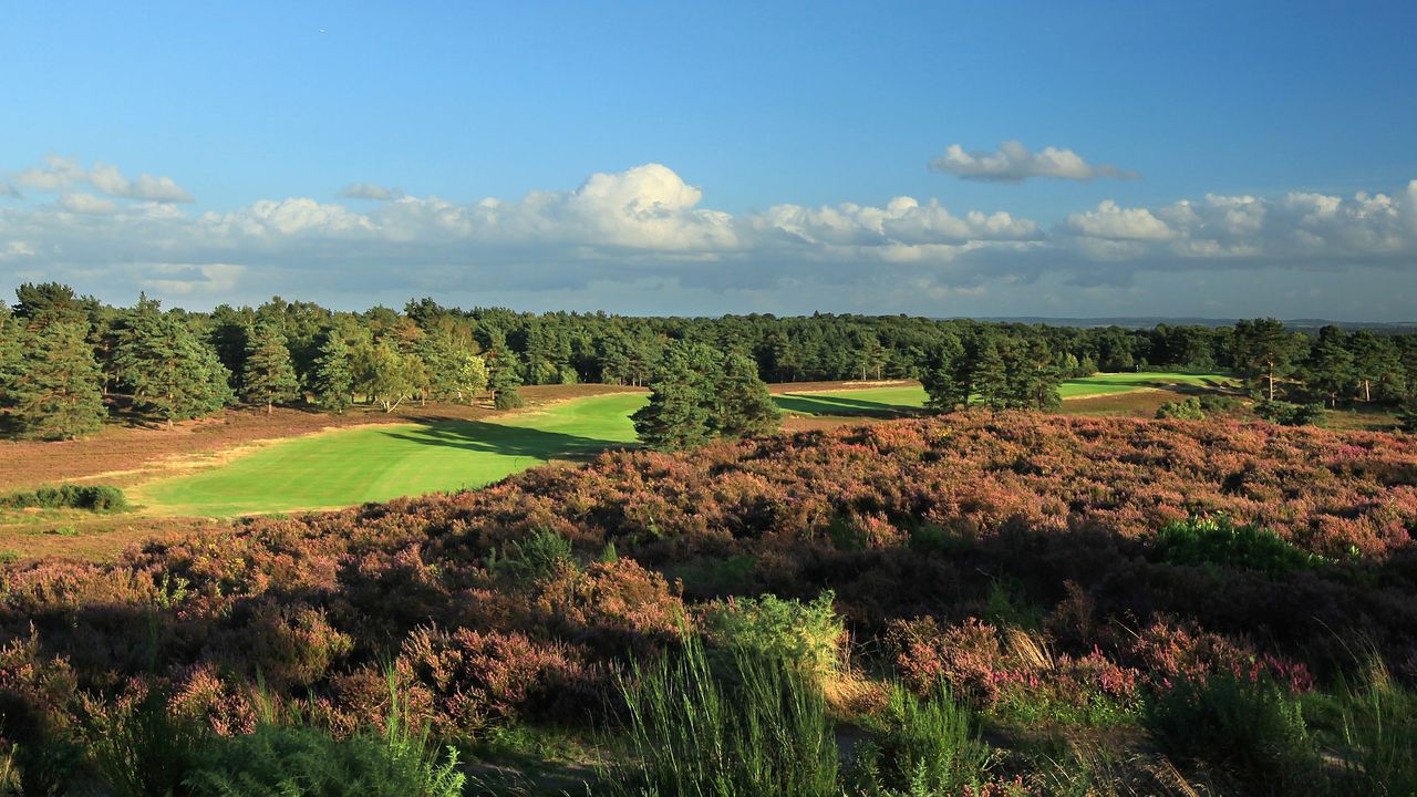 Sunningdale New course pictured