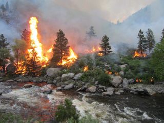 Hewlett fire by the Poudre River